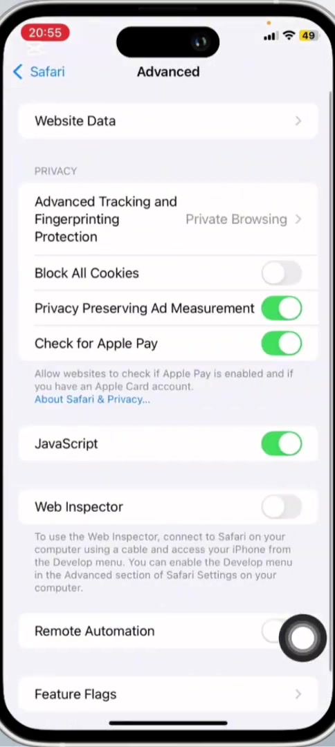Safari Advanced settings screen with Website Data at the top