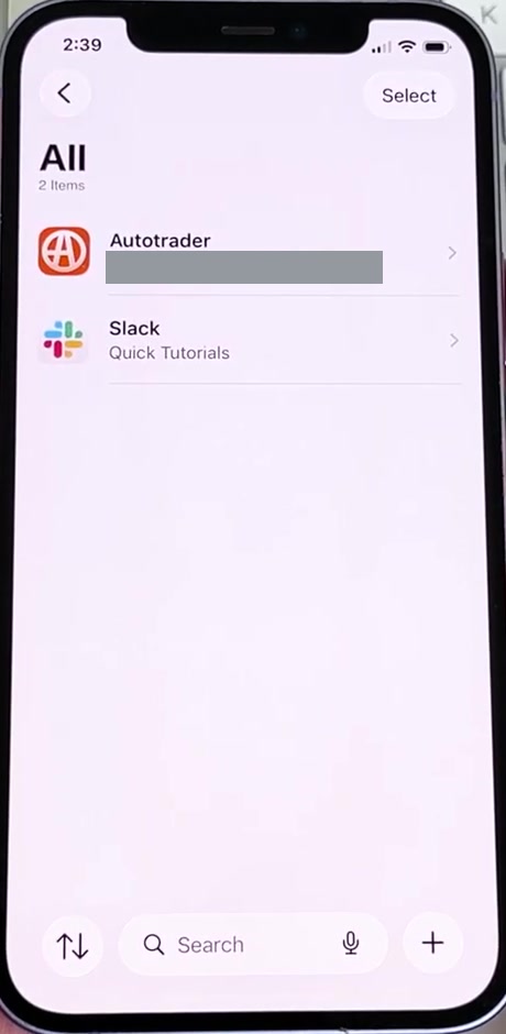 The All list in the Passwords app showing two saved account entries