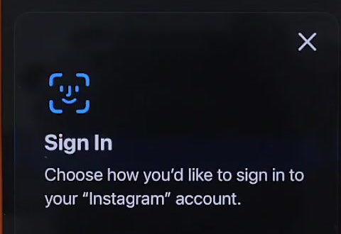 iOS Sign In prompt asking how you would like to sign in to your Instagram account
