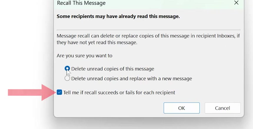 Recall This Message dialog with the recall success or failure notification checkbox ticked