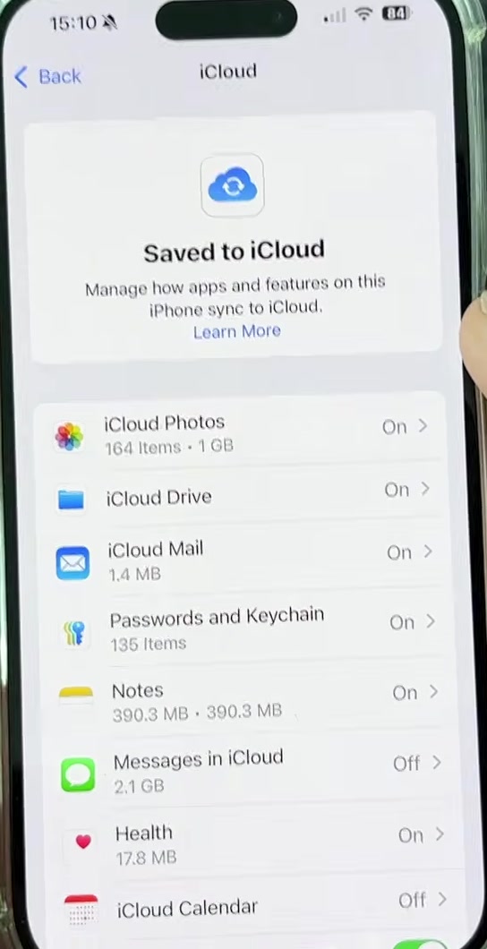 iCloud settings screen headed Saved to iCloud, listing iCloud Photos, iCloud Drive, iCloud Mail, Passwords and Keychain, Notes, Messages in iCloud, Health and iCloud Calendar with On or Off beside each