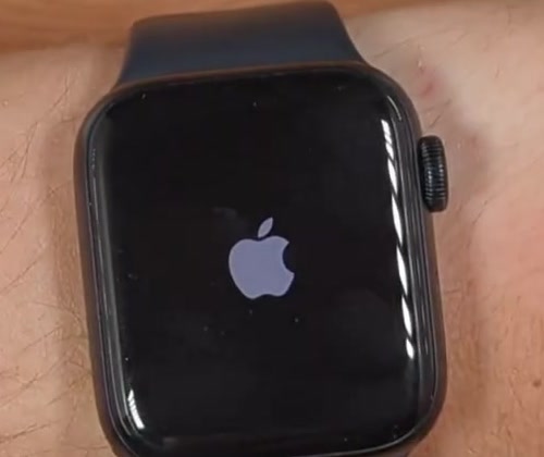 The Apple logo appearing on an Apple Watch screen as it powers back on