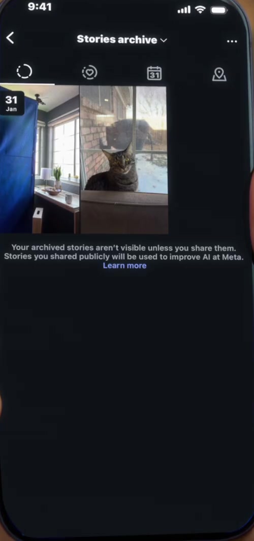 Instagram Stories archive screen showing an archived story in a grid