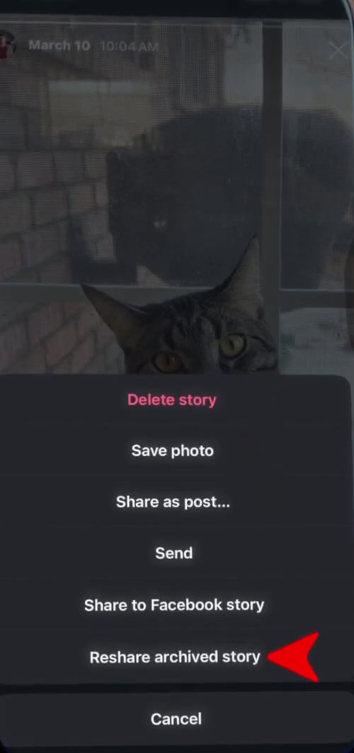Instagram menu showing Reshare archived story beneath Share as post and Share to Facebook story